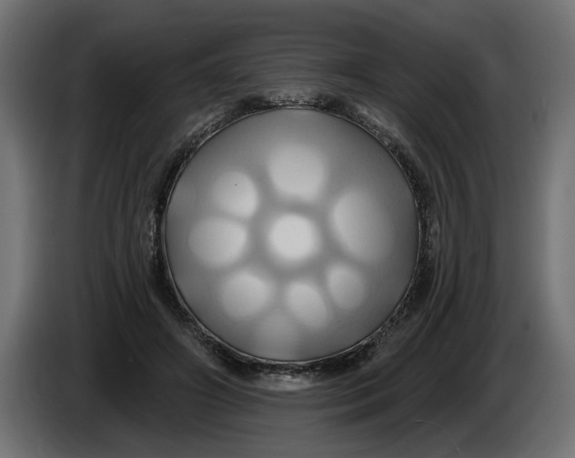 X0000086020498200704131853