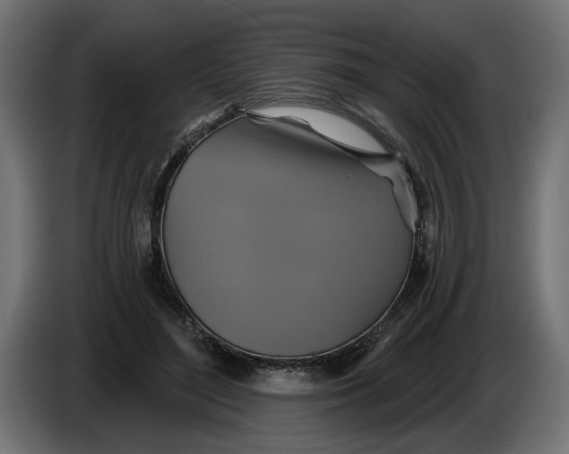 X0000086020500200704131853