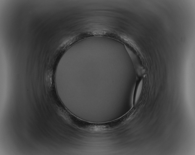X0000086020501200704131853