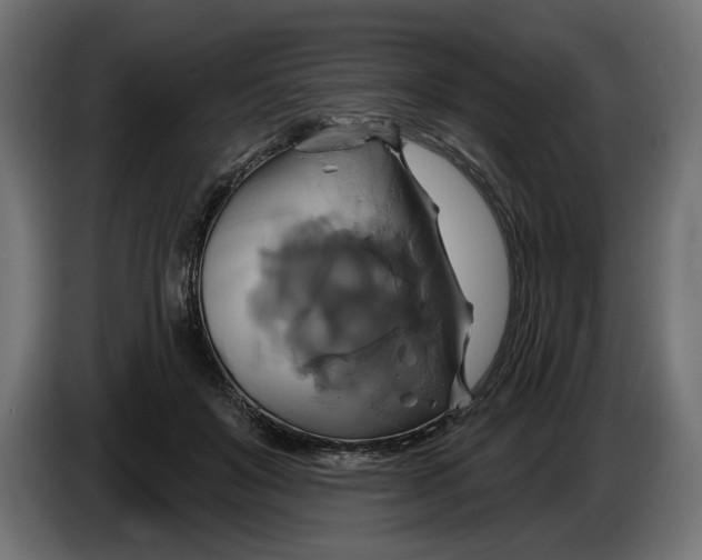 X0000086020503200704131853