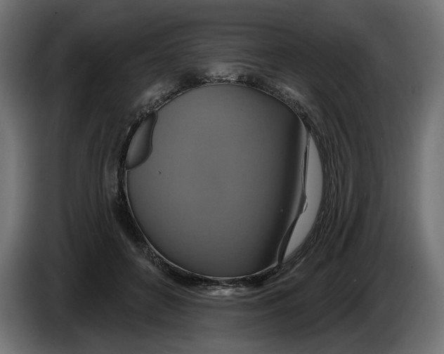 X0000086020504200704131853