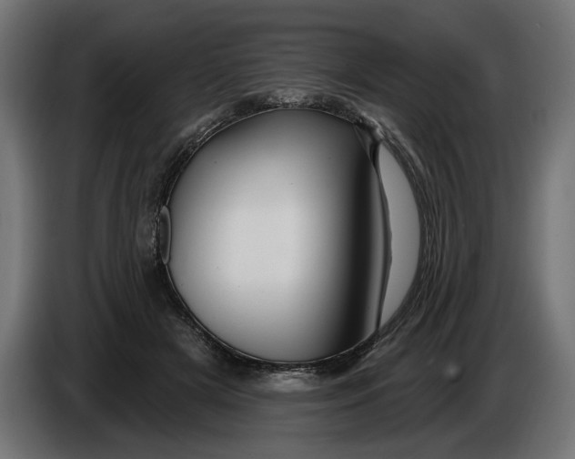 X0000086020505200704131853