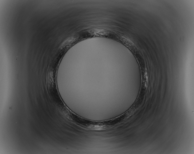 X0000086020506200704131853
