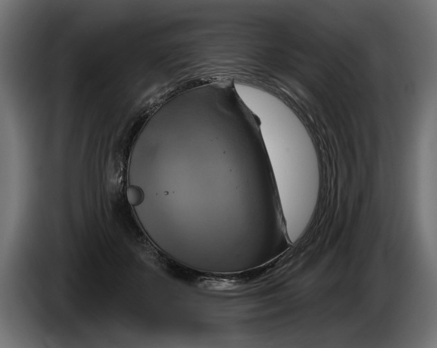 X0000086020507200704131853