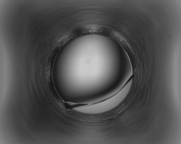 X0000086020509200704131853