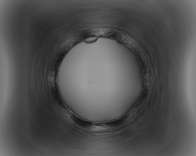 X0000086020510200704131853