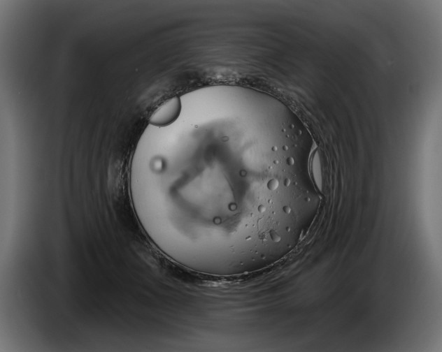 X0000086020511200704131853