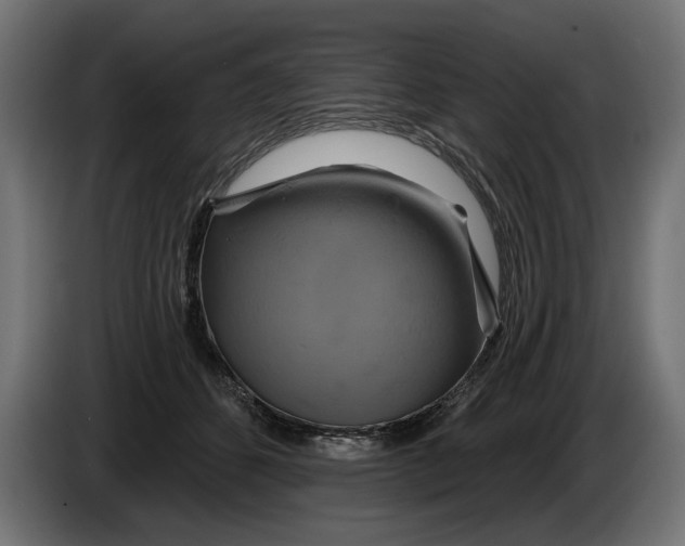 X0000086020512200704131853