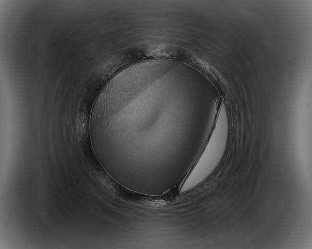 X0000086020513200704131853