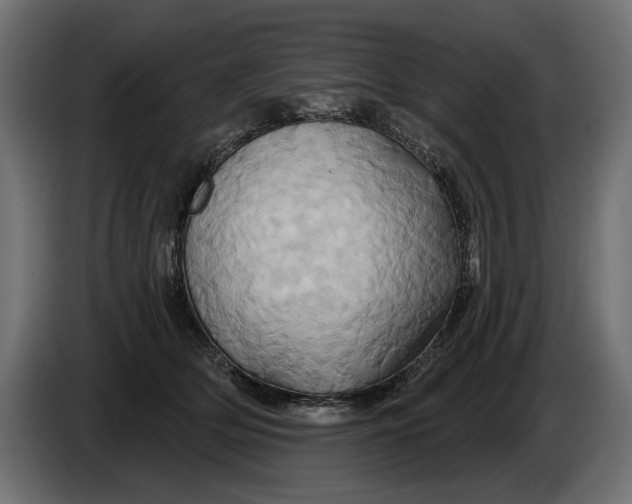 X0000086020514200704131853