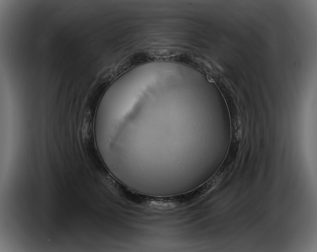 X0000086020515200704131853