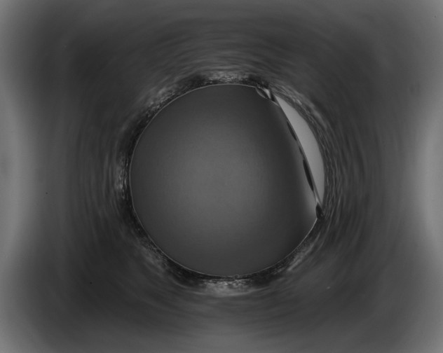 X0000086020517200704131853