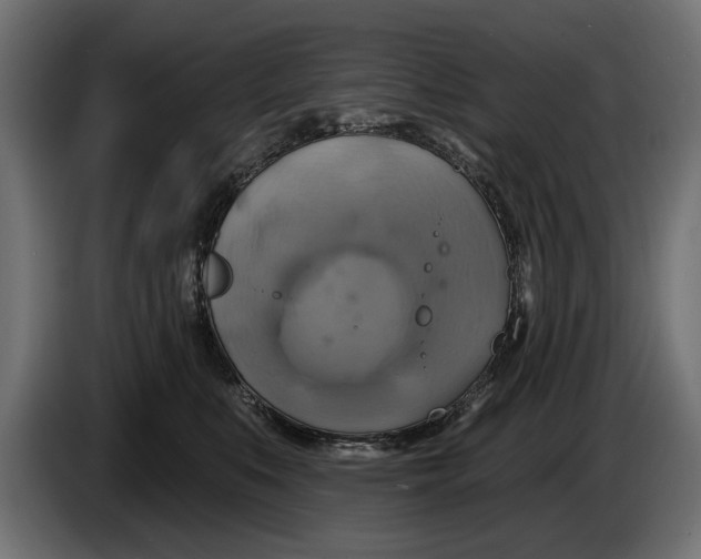 X0000086020519200704131853