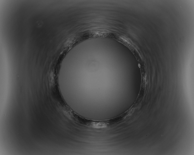 X0000086020520200704131853
