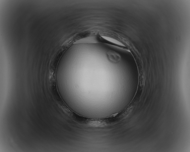 X0000086020521200704131853