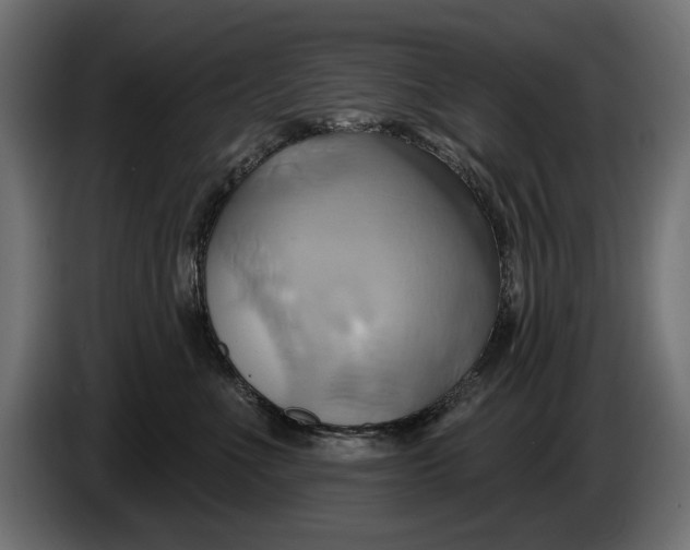 X0000086020523200704131853