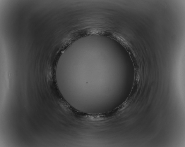 X0000086020524200704131853