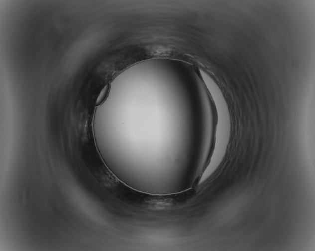 X0000086020525200704131852
