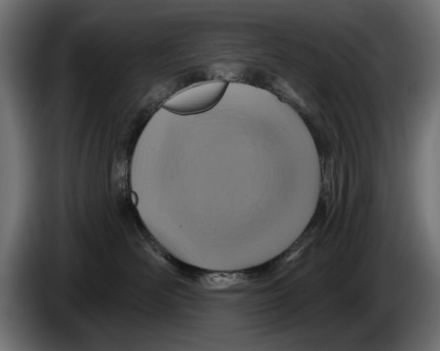 X0000086020526200704131852