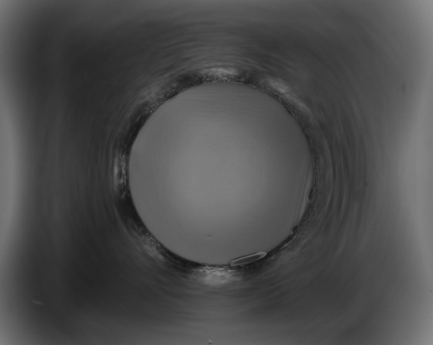 X0000086020528200704131852