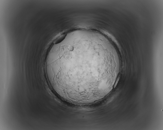 X0000086020529200704131852
