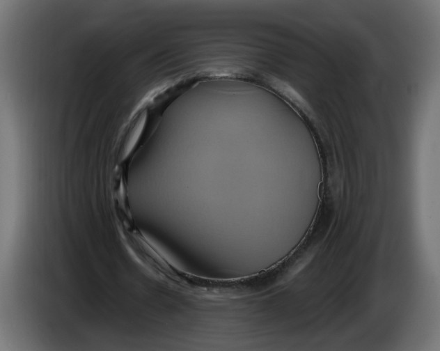 X0000086020530200704131852