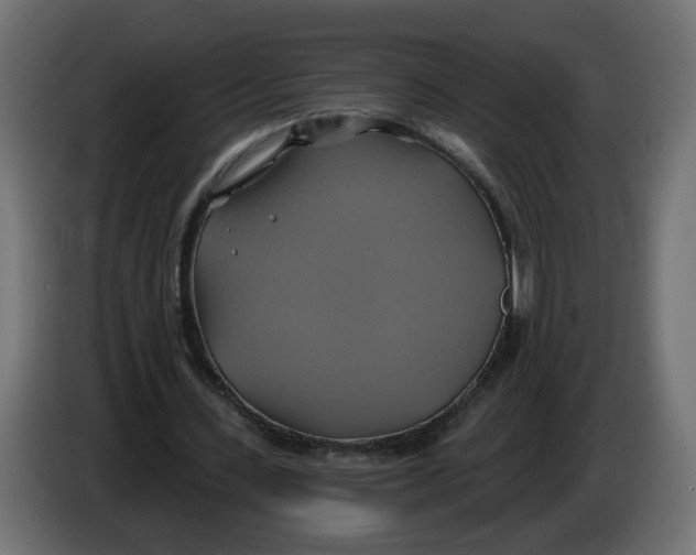 X0000086020531200704131852