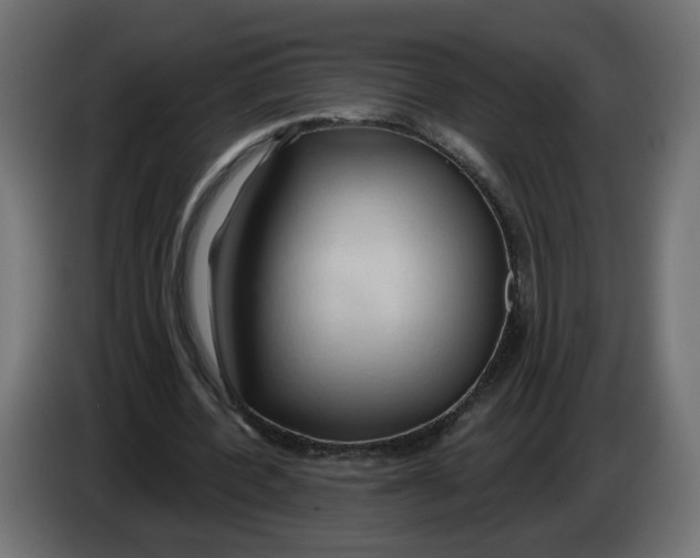X0000086020532200704131852