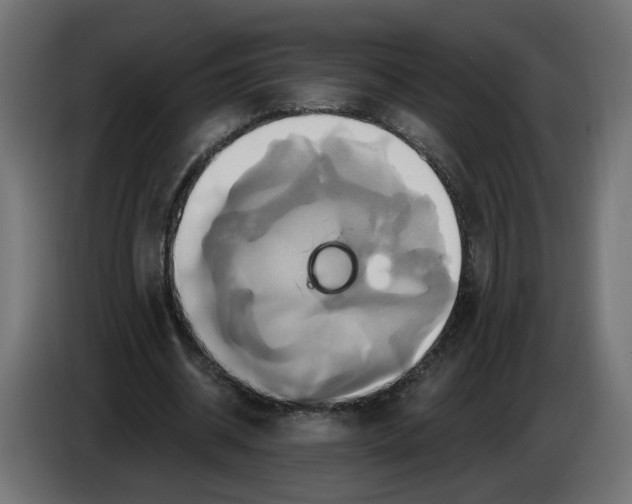 X0000086020534200704131852