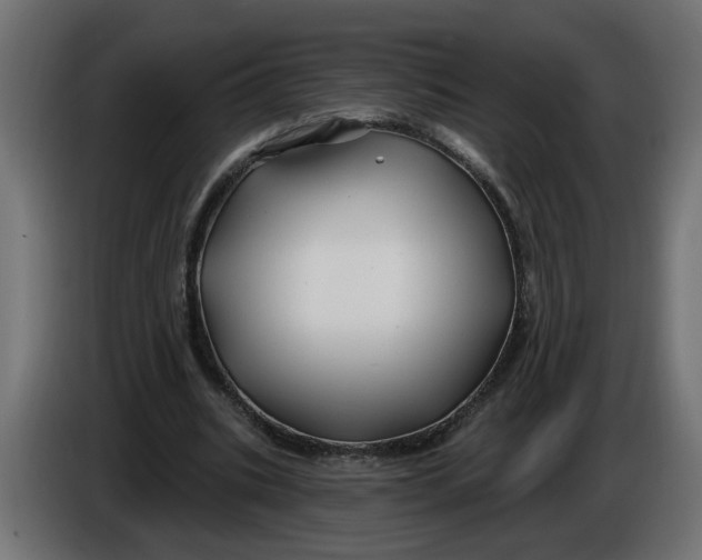 X0000086020535200704131852