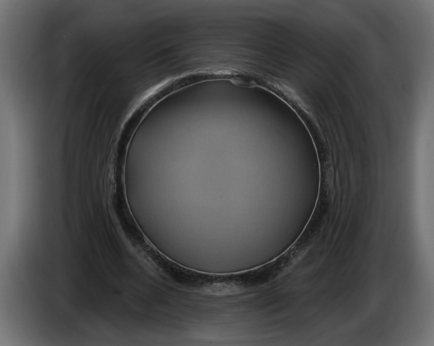 X0000086020536200704131852