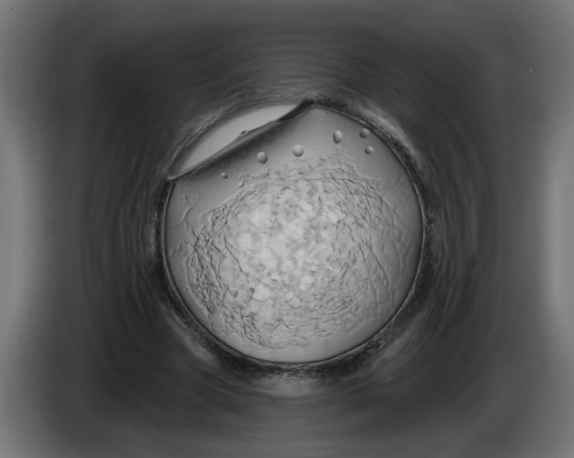 X0000086020537200704131852