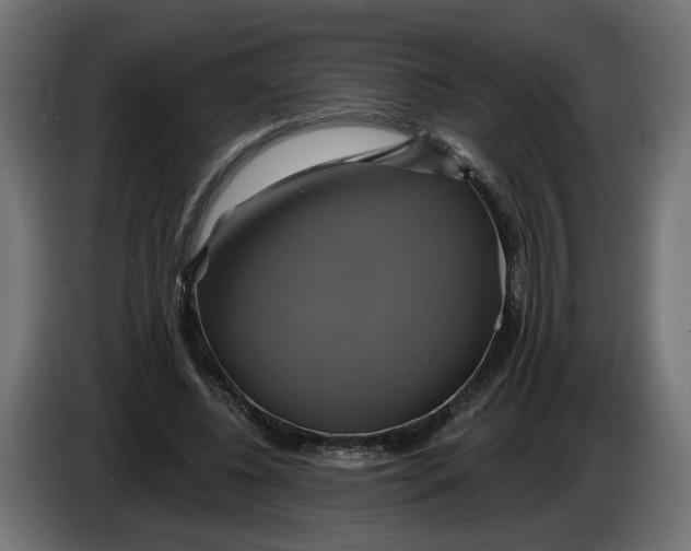 X0000086020540200704131852
