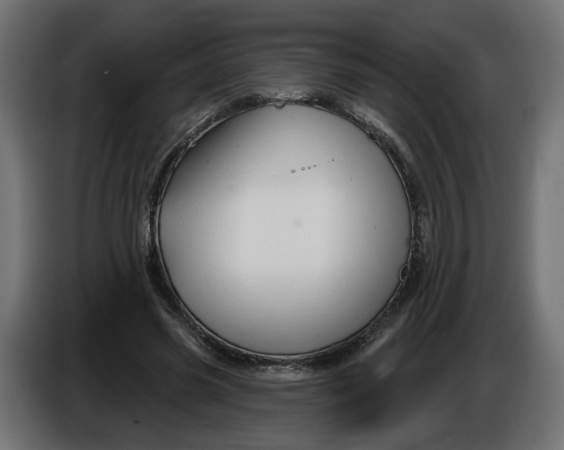 X0000086020541200704131852