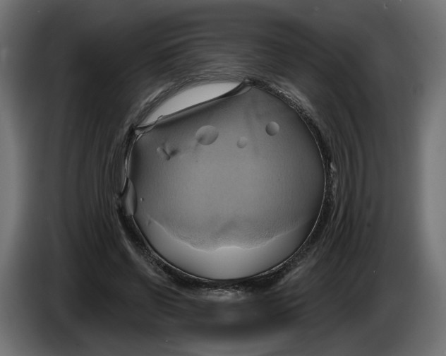 X0000086020542200704131852