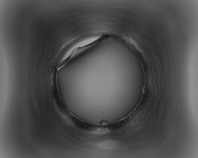 X0000086020543200704131852