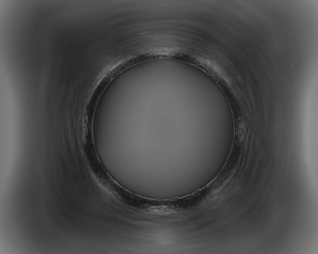 X0000086020544200704131852