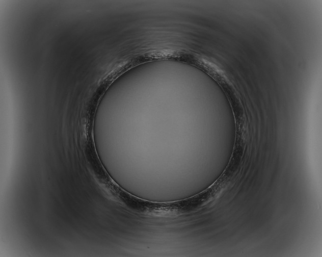 X0000086020546200704131852