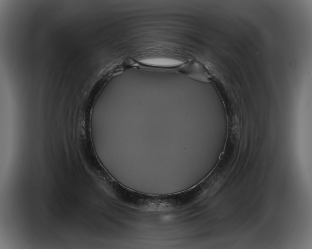 X0000086020547200704131852