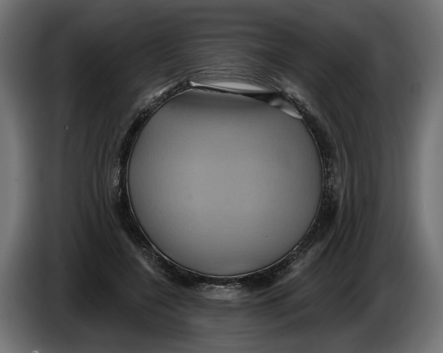 X0000086020548200704131852
