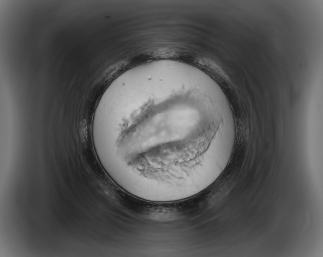 X0000086020549200704131852