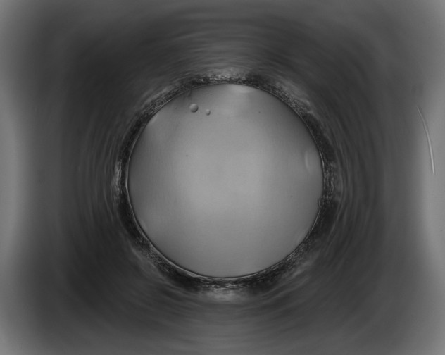 X0000086020550200704131852