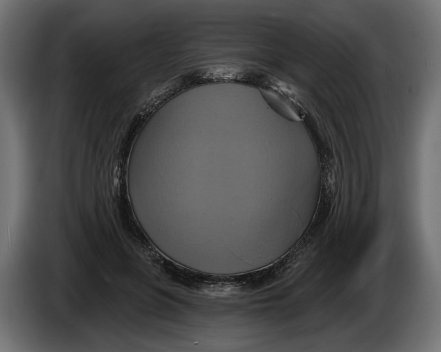 X0000086020551200704131852