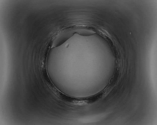 X0000086020553200704131852