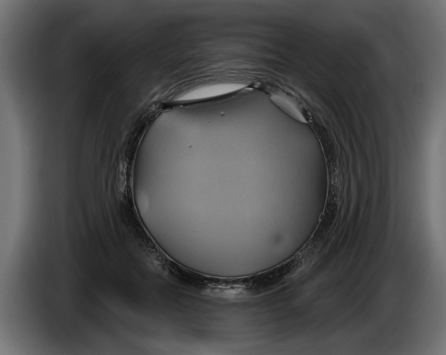 X0000086020554200704131852