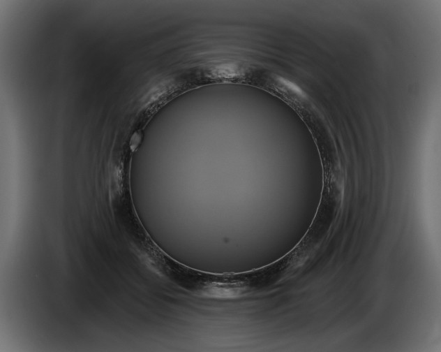 X0000086020556200704131852