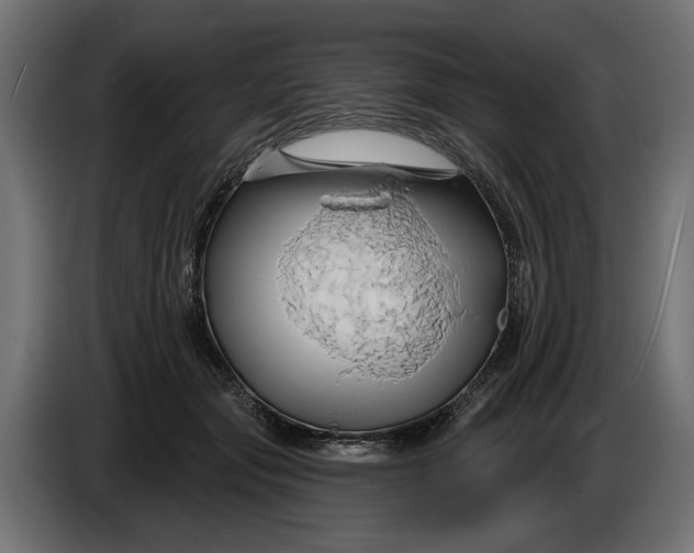 X0000086020557200704131852