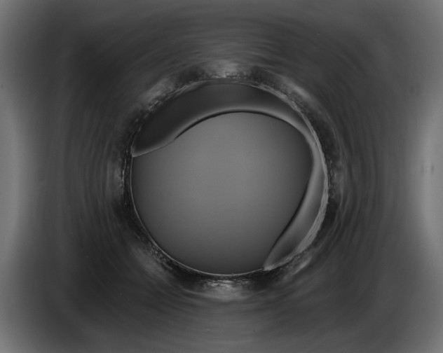 X0000086020558200704131852