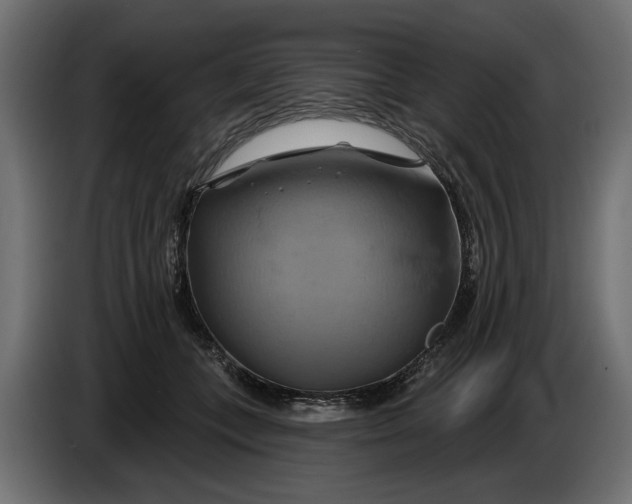 X0000086020559200704131852