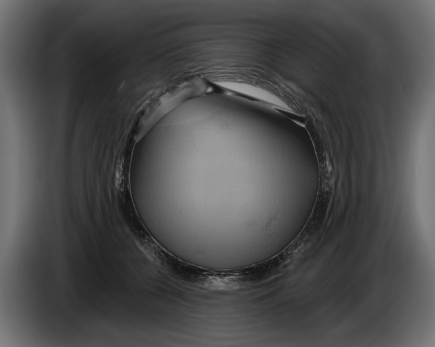 X0000086020560200704131852